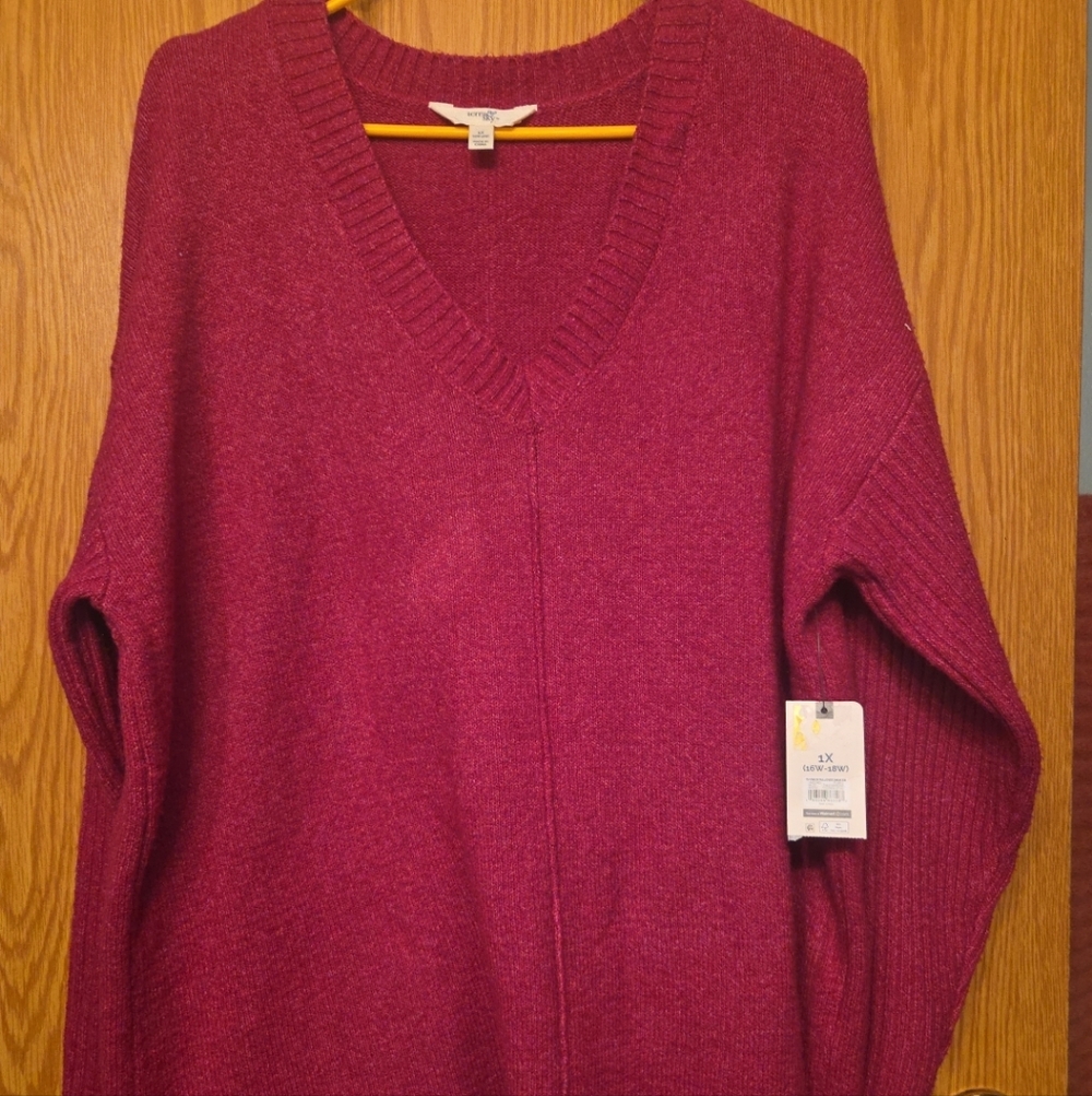 Terra & Sky Womens Sweater V-Neck Knit  Size 1X